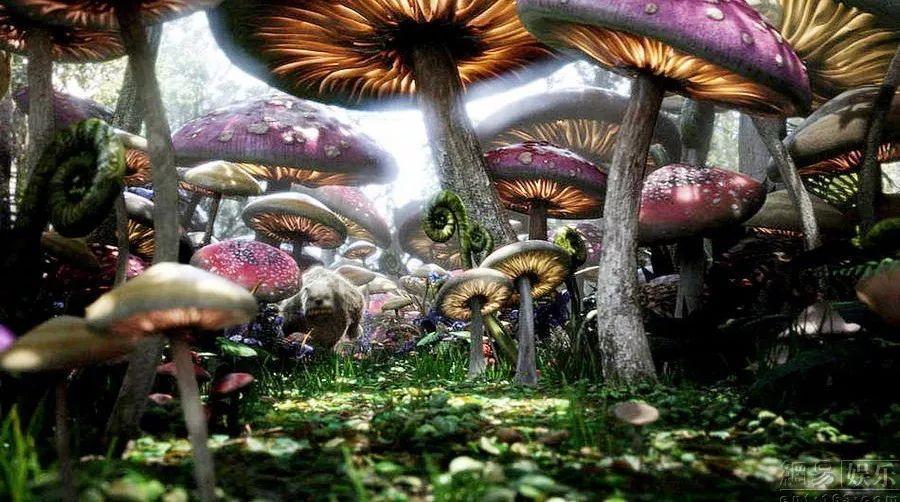 地狱之刃